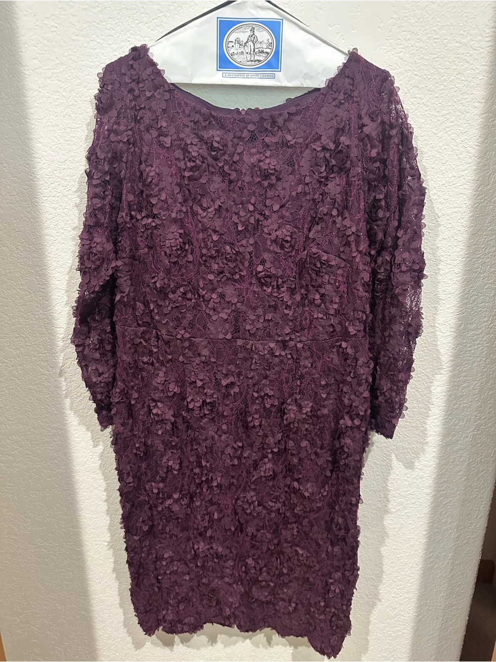 Xscape Plum 3D Floral Lace Long Sleeve Dress